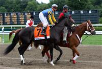 reforestation, 2009 G1 Test, Saratoga