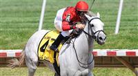 Careless Jewel wins the Delaware Oaks