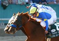 09 April 2010: Line of David and Jon Court(rail) defeat Super Saver with Calvin Borel aboard(center) and Dublin with Terry Thompson up(outside) to win the Arkansas Derby at Oaklawn Park in Hot Springs, AR.