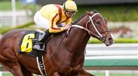 Maclean's Music wins his debut at Santa Anita. 