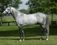 MizzenMast