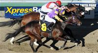 February 12, 2012.Anthony's Cross riden by Joel Rosario wins The Robert B. Lewis Stakes at Santa Anita Park, Arcadia, CA.