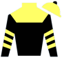 SeattleSlew21 Silks