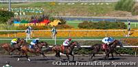 Hollywood Park in Inglewood, California