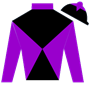 avidfan Silks