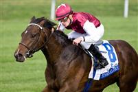 Stormalory captures the 2009 Transylvania at Keeneland