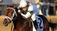 Super Saver rolls in the 2009 Kentucky Jockey Club