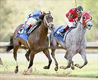 Dream Of Summer winning the Apple Blossom