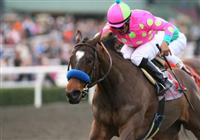 31 January 2010: Gabby's Golden Gal and Martin Garcia win the Santa Monica Handicap at Santa Anita Park in Arcadia, CA..