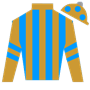 colorblue5555 Silks