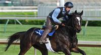 Zenyatta works at Churchill Downs.
