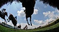 Bob Mayberger Eclipse Award steeplechase photo 2011. 