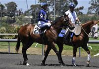 Classical Slew before the Hollywood Juvenile Championship - 2009