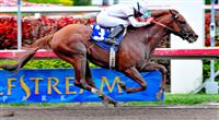 Drosselmeyer winning an allowance race at Gulfstream Park