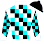 ref2929 Silks