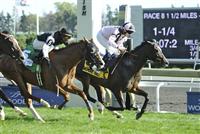 Wigmore Hall with jockey Jamie Spencer wins the Grade 1 Northern Dancer Turf Stakes at the Woodbine Racetrack.