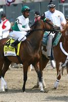 Fantasia getting ready to run in the Just a Game Stakes at Belmont Park