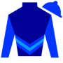 miracleshappen Silks