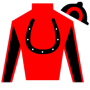 SkiptheCountry Silks