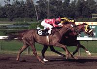 Sandy Blue winning the 1973 Hollywood Oaks