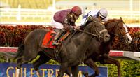 Dialed In gets past Shackleford to take the Florida Derby