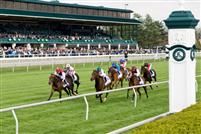 Stormalory wins the Translyvania at Keeneland