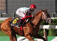 D' Funnybone captures the 2009 Belmont Futurity with an impressive run