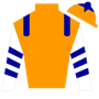 BikinMike444 Silks