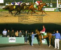 George wins MSW beating Sangaree and Success Fee