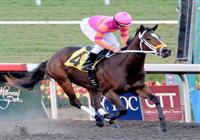 November 22, 2009.November 22, 2009.Bickersons, riden by Joseph Talamo wins The Moccasin Stakes at Hollywood Park, Inglewood, California