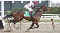 11 27 2010: To Honor and Serve with John Velazquezup win the 97th running of the Grade II Remsen for 2-year olds, at 1 1/8 miles, Aqueduct Racetrack, Jamaica, NY. Trainer William Mott. Owners Live Oak Plantation. 