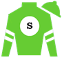 TrishaShockey Silks