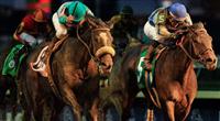 Blame beats Zenyatta in the Breeders' Cup Classic