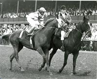 Winning the Blue Grass (1973)
