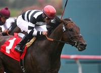 03 October 2010: Champ Pegasus and Joel Rosario win the Clement L. Hirsch Stakes(GI) at Hollywood Park, Inglewood, CA