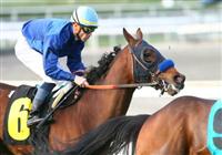 24 January 2010: Loup Breton and Garrett Gomez in the San Marcos Stakes at Santa Anita Park in Arcadia, CA.. 