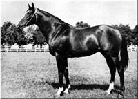 Anilin