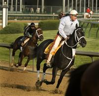 Eight Belles works before the Kentucky Derby with trainer Larry Jones up 