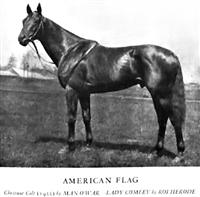 AmericanFlag 1