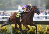September 05 2010. Switch and Joel Rosario win the Torrey Pines Stakes at Del Mar Race Track in Del Mar CA.. 