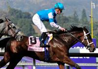 6 November 2009: Julien Leparoux on She Be Wild takes the G1 Breeder's Cup Juvenile Fillies at Santa Anita in Arcadia California.