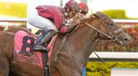 Ice Box captures the 2010 Florida Derby