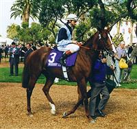 Spinning World takes the Breeders' Cup Mile