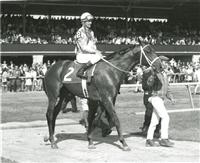 Winning the Blue Grass (1967)