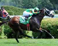 Winnng at Saratoga