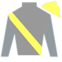 tiznow Silks