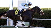Harmonious with Joel Rosario up wins The Queen Elizabeth II Challenge Cup (grI) at Keeneland Race Course. 10.16.2010..photo Ed Van Meter