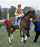 Elite Alex, Calvin Borel 