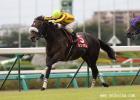 Shingen