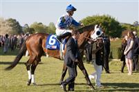 Flying Private before the Arkansas Derby